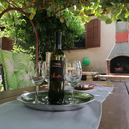Apartment Morosini